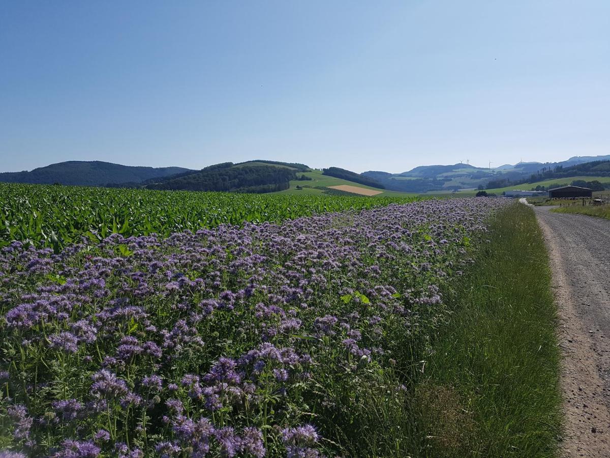 Pilgrims "Franz" Grosszuegige Unterkunft Sauerland 梅舍德 外观 照片